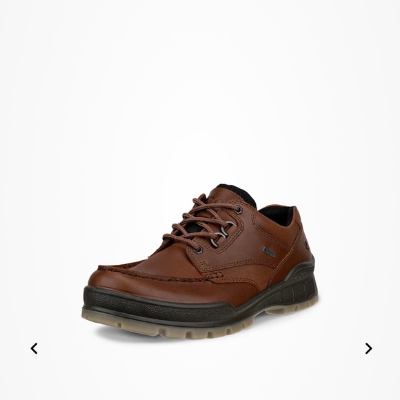 Ecco Men's Chestnut Brown Leather Oxfords waterproof